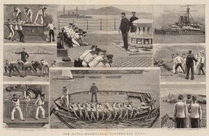 As manobras navais, Torpedo-Net Drill